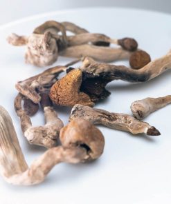 Buy Amazonian Magic Mushrooms, also known as Psilocybe Cubensis Amazonian, offer one of the most potent and visionary psychedelic experiences available today.